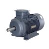 Động cơ không đồng bộ ba pha IEC SIEMENS